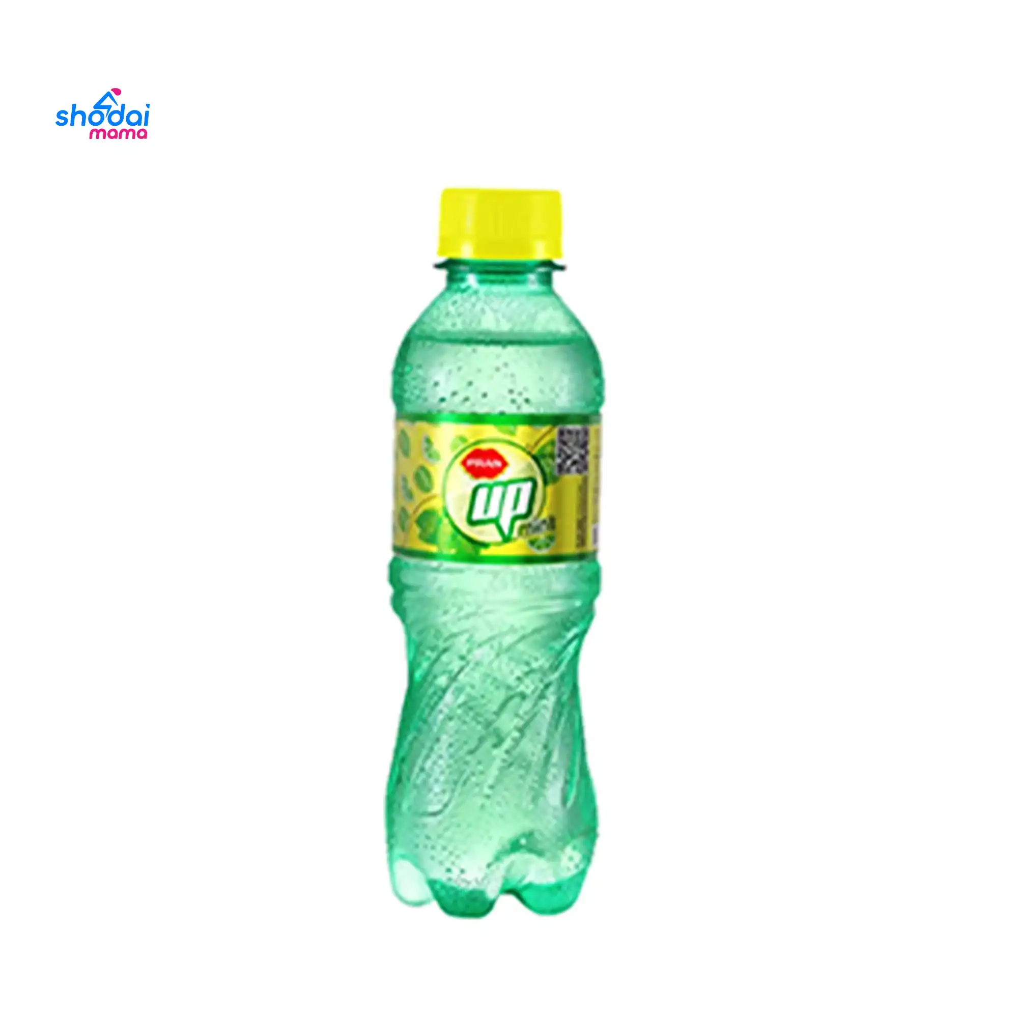 Pran Up Mint 250ml